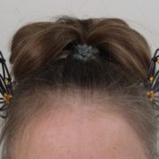 monarch-two-single-wings